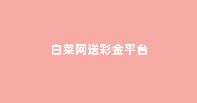 白菜公司排名